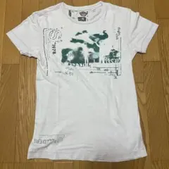 Diesel グラフィックプリント Tシャツ Mサイズ