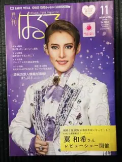 Item thumbnail for item 21497775-ad90-41d3-8950-b316f0d5c62b