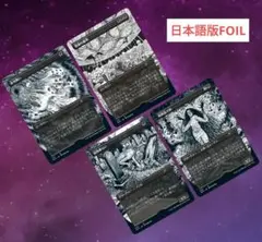 m30687474080_1.jpg?1722201966