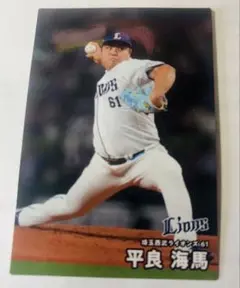 プロ野球チップスカ-ド2025