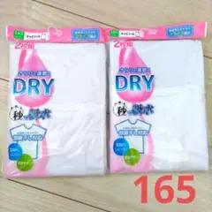 Item thumbnail for item 4476a7ab-c37e-4248-8ee1-c62bce9b79ad