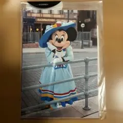 ミニーフォトセット