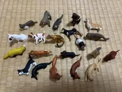 チョコエッグ　犬フィギュア　日本の動物