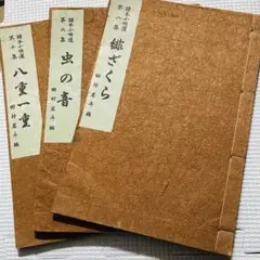Item thumbnail for item 163b13a3-90ed-4302-be5c-ff9fc371d16d