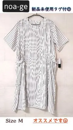 Item thumbnail for item b676a2d4-1479-47ef-90d6-7ed8a2b9dd63