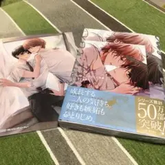 未開封 ピットスポルム 四葉 アニメイト限定特典付き