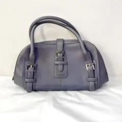 ロエベ loewe センダ ハンドバッグ レザー パープル グリーン