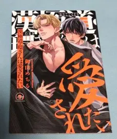 漢極道・環さんは愛されたい 御山めちる BLコミック ボーイズラブ