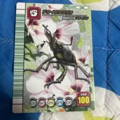 2025年最新】ドウイロクワガタの人気アイテム - メルカリ