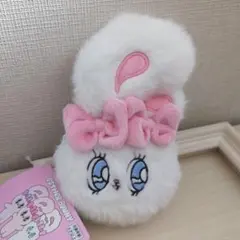 エスターバニー フェイスミニポーチ アミューズメント プライズ マスコット