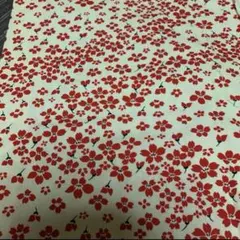 Item thumbnail for item f26d87ca-be6c-4f54-8cbb-9f6799220326