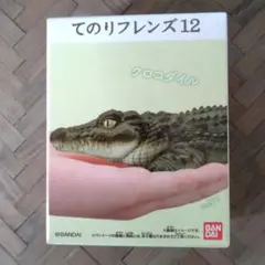 Item thumbnail for item 5169cc6c-41ee-488b-8d1a-8ab8e47c4550