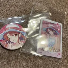 東京ドームシティ　からぴち　のあさん　まとめ売り