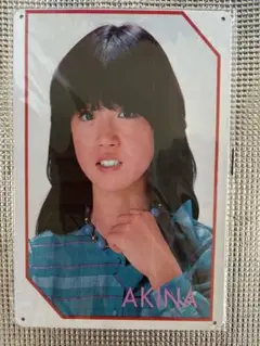 新品 中森明菜 イメージオマージュアルミプレートブリキ看板⑧