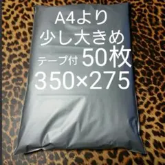 Item thumbnail for item 0d996bb0-36fe-4e23-b21b-e630d53d095b