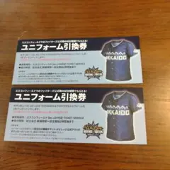 エスコンフィールドでのファイターズの試合観戦でもらえるユニフォーム引換券2枚