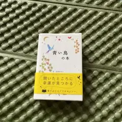 石井ゆかり　青い鳥の本