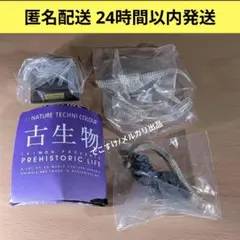 即購入OK★ガチャ 古生物 フタバスズキリュウ(骨格標本色)