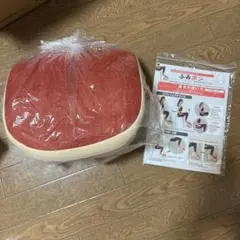 東急スポーツオアシス ふみポン フィットネスクッション OASIS
