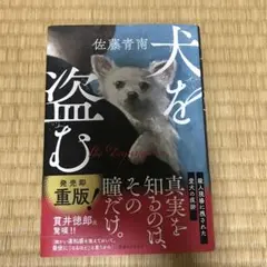 犬を盗む