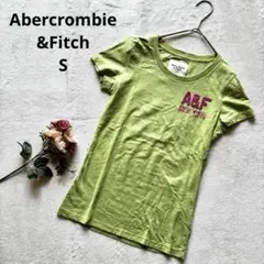 アバクロンビーアンドフィッチ プリント 半袖Tシャツ S ライムグリーン