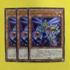 遊戯王 捕食植物ビブリスプ 3枚セット プレデタープランツ