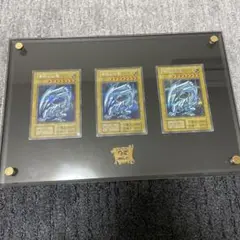 【Show】海馬セット　引退品　シクブル　まとめ売り　ホロガール m96140270193_1.jpg?1754872395
