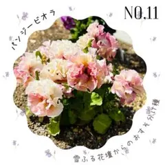 こゆこゆ様 リクエスト 3点 まとめ商品