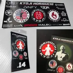 非売品 RIZIN.14 チケット 応援席特典 堀口恭司 クリーナーu0026ステッカー