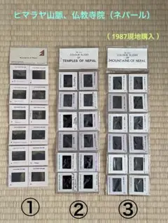 Item thumbnail for item 8e9fe9ea-b1c7-476a-911a-3fe4f8997b57