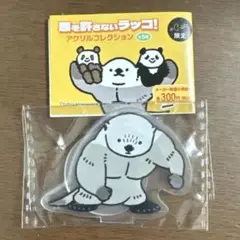 悪を許さないラッコ！ アクリルコレクション