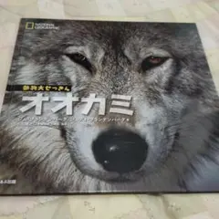 動物大せっきんオオカミ 珍しい絵本