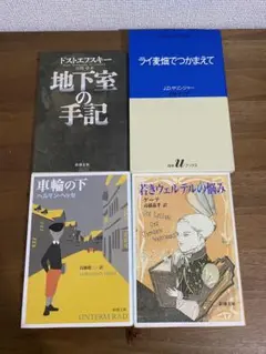 ライ麦畑でつかまえて　地下室の手記　車輪の下　若きウェルテルの悩み