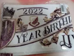 乃木坂46 マフラータオル 10th YEAR BIRTHDAY LIVE