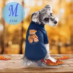 Item thumbnail for item 5123dd67-8b56-478b-9672-d450e96fde91