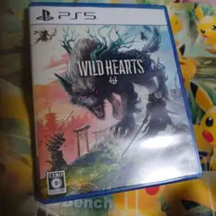 PS5 WILD HEARTS
