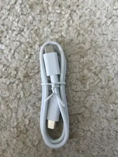 ホワイト USB-C to USB-C 充電ケーブル