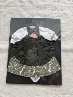 Item thumbnail for item cd2b2db9-a55d-421b-9e2f-eb9d98bf5c64