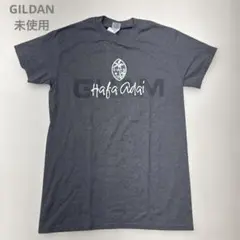 未使用 GILDAN ギルダン GUAM サーフ Tシャツ グレー S