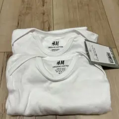 Item thumbnail for item 753858ab-f594-45e0-bf8b-e3cd448d8cf6