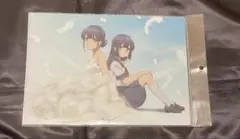 未開封品　青春ブタ野郎はゆめみる少女の夢を見ない　クリアファイル2枚セット　B
