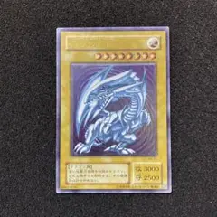 鑑定品 PSA10 】 極美品 世界8枚 エビルナイト・ドラゴン