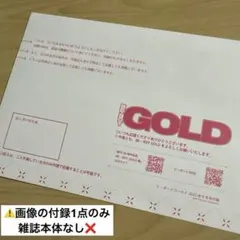 ビーボーイゴールド　8月号 付録　推しカプ婚姻届　1点