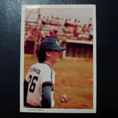 沢田研二 生写真 100
