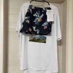 Item thumbnail for item 81b7e772-999c-42ae-b851-587876ef0e35