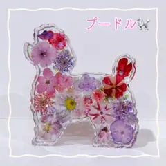 No.386⭐️固まるハーバリウム✨️ プードル 置物