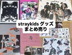 straykids スキズ グッズ まとめ売り
