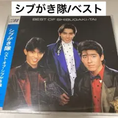 大量！！シブがき隊　SHIBUGAKITAI 1980年代　レコードまとめ売り 大量！！シブがき隊 SHIBUGAKITAI 1980年代 レコードまとめ売り