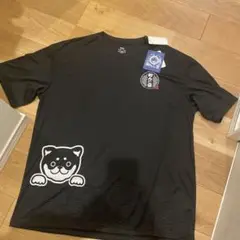 Item thumbnail for item 6dcc89c7-0bbd-4095-9dfe-b4b34268c18c