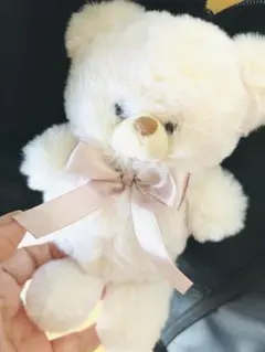 Tina 可愛いクマのぬいぐるみ　　薄ピンク色系お得